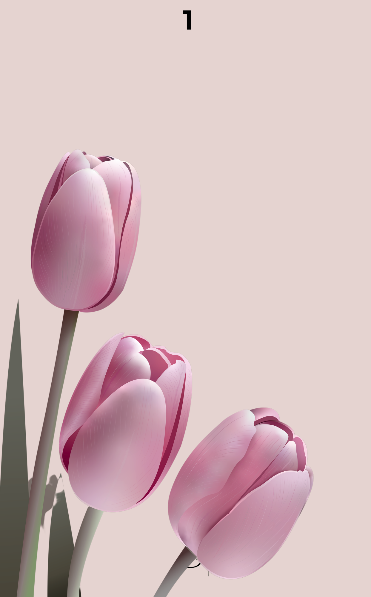 6er Register – Tulpe